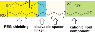 Graphical abstract: Acid cleavable PEG-lipids for applications in a ternary gene delivery vector