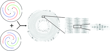 Graphical abstract: Nucleic acid microarrays created in the double-spiral format on a circular microfluidic disk