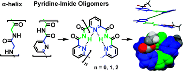 Graphical abstract: Pyridine–imide oligomers