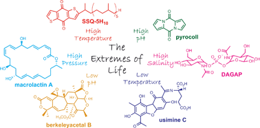 Graphical abstract: Molecules derived from the extremes of life