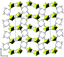 Graphical abstract: The first crystal structure of an actinide complex of the macrocyclic ligand DOTA: a two-dimensional uranyl–organic framework