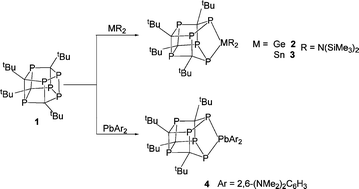 Graphical abstract: Specific insertion reactions of a germylene, stannylene and plumbylene into the unique P–P bond of the hexaphospha-pentaprismane cage, P6C4tBu4: Crystal and molecular structures of P6C4tBu4ER2 (E = Ge, Sn, R = N(SiMe3)2; E = Pb, R = (C6H3(NMe2)2 -2,6)