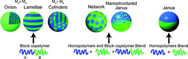 Graphical abstract: Spontaneous formation of polymer nanoparticles with inner micro-phase separation structures