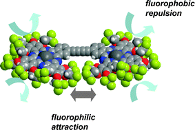 Graphical abstract: Synthesis and properties of trifluoroethoxy-coated binuclear phthalocyanine