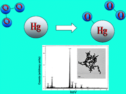 Graphical abstract: Effects of relative humidity and CO(g) on the O3-initiated oxidation reaction of Hg0(g): kinetic & product studies