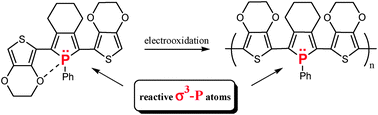 Graphical abstract: Synthesis, electronic properties and electropolymerisation of EDOT-capped σ3-phospholes