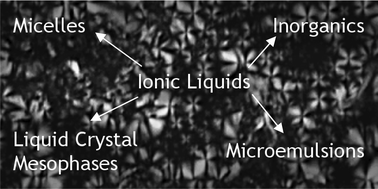 Graphical abstract: Ionic liquids as amphiphile self-assembly media