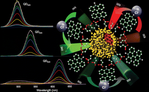 Graphical abstract: A quantum dot–lucigenin probe for Cl−