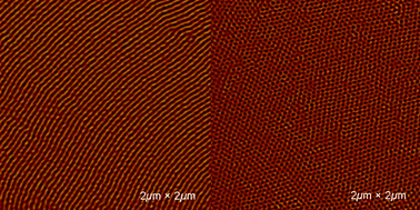 Graphical abstract: Fabrication of well-defined block copolymer nano-cylinders by controlling the thermodynamics and kinetics involved in block copolymer self-assembly