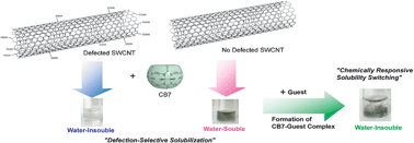 Graphical abstract: Defection-selective solubilization and chemically-responsive solubility switching of single-walled carbon nanotubes with cucurbit[7]uril