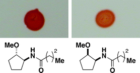 Graphical abstract: 2-Methoxycyclopentyl analogues of a Pseudomonas aeruginosaquorum sensing modulator
