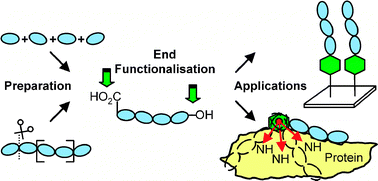 Graphical abstract: Enabling methodology for the end functionalisation of glycosaminoglycan oligosaccharides