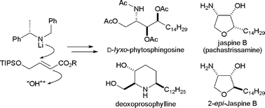 Graphical abstract: Asymmetric synthesis of N,O,O,O-tetra-acetyl d-lyxo-phytosphingosine, jaspine B (pachastrissamine), 2-epi-jaspine B, and deoxoprosophyllinevialithium amide conjugate addition