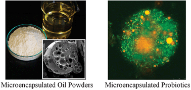 Graphical abstract: Nano- and micro-structured assemblies for encapsulation of food ingredients