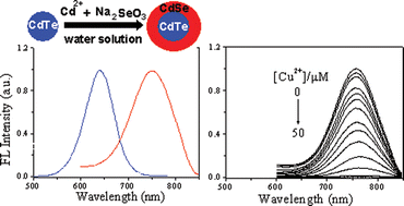 Graphical abstract: Aqueous synthesis of type-II core/shell CdTe/CdSe quantum dots for near-infrared fluorescent sensing of copper(ii)