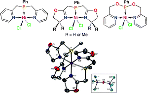 Graphical abstract: Nickel and iron complexes with N,P,N-type ligands: synthesis, structure and catalytic oligomerization of ethylene