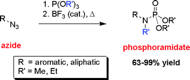 Graphical abstract: Synthesis of N,N-disubstituted phosphoramidatesvia a Lewis acid-catalyzed phosphorimidate rearrangement