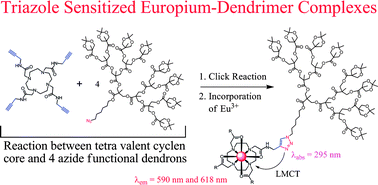 Graphical abstract: Europium confined cyclen dendrimers with photophysically active triazoles