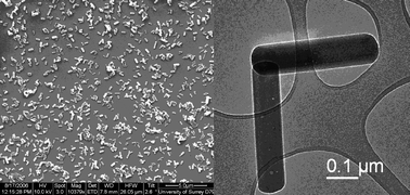 Graphical abstract: Controlled growth of true nanoscale single crystal fullerites for device applications