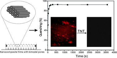 Graphical abstract: High-performance TNT chemosensory materials based on nanocomposites with bimodal porous structures