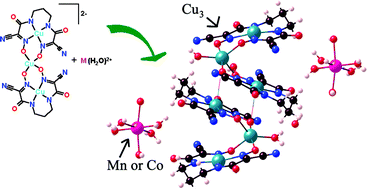 Graphical abstract: Synthesis, structure and magnetic properties of oligometallic systems derived from di- and trinuclear copper(ii) amido-oximate complexes