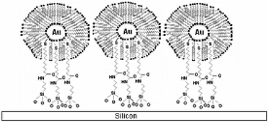 Graphical abstract: Chemically bound gold nanoparticle arrays on silicon: assembly, properties and SERS study of protein interactions