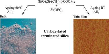 Graphical abstract: Synthesis and characterisation of carboxylate-terminated silica nanohybrid powders and thin films