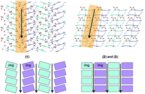 Graphical abstract: Counterion effect on the formation of coordination polymer networks between AgNO3 and L (2,2′-oxybis(ethane-2,1-diyl) diisonicotinate). Part 2