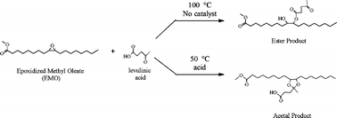 Graphical abstract: Synthesis of cyclic acetals (ketals) from oleochemicals using a solvent free method