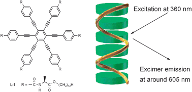 Graphical abstract: Stable supramolecular helical structure of C6-symmetric hydrogen-bonded hexakis(phenylethynyl)benzene derivatives with amino acid pendant groups and their unique fluorescence properties