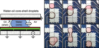 Graphical abstract: Water-oil core-shell droplets for electrowetting-based digital microfluidic devices