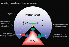 Graphical abstract: Protein wrapping: a molecular marker for association, aggregation and drug design