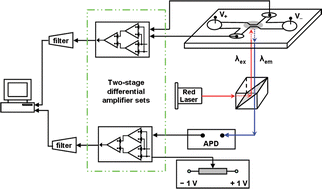 Graphical abstract: Simultaneous particle counting and detecting on a chip