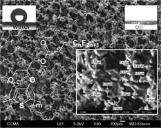 Graphical abstract: Electrodeposited polymer films with both superhydrophobicity and superoleophilicity
