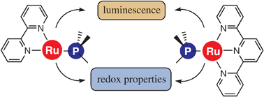 Graphical abstract: Luminescent ruthenium–polypyridine complexes & phosphorus ligands: anything but a simple story