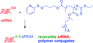 Graphical abstract: Reversible siRNA–polymer conjugates by RAFT polymerization