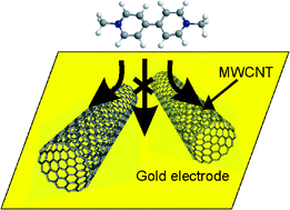 Graphical abstract: Investigating the voltammetric reduction of methylviologen at gold and carbon based electrode materials. Evidence for a surface bound adsorption mechanism leading to electrode ‘protection’ using multi-walled carbon nanotubes