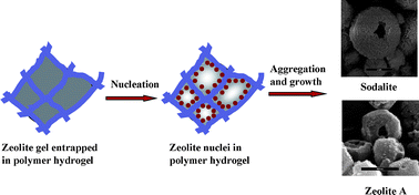 Graphical abstract: Hollow zeolite structures formed by crystallization in crosslinked polyacrylamide hydrogels
