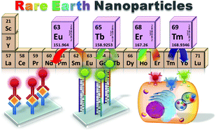 Graphical abstract: Luminescent rare earth nanomaterials for bioprobe applications