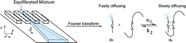 Graphical abstract: Fourier transform to analyse reaction-diffusion dynamics in a microsystem