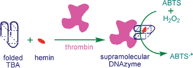 Graphical abstract: G-quadruplex-based DNAzyme for facile colorimetric detection of thrombin