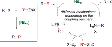 Graphical abstract: Nickel-catalysed Negishi cross-coupling reactions: scope and mechanisms