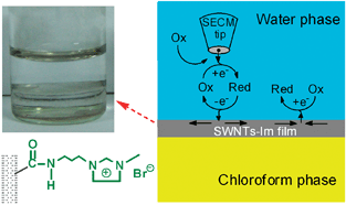 Graphical abstract: Directing single-walled carbon nanotubes to self-assemble at water/oil interfaces and facilitate electron transfer