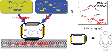 Graphical abstract: An electrochemical sensor for 3,4-dihydroxyphenylacetic acid with carbon nanotubes as electronic transducer and synthetic cyclophane as recognition element