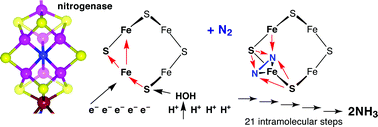 Graphical abstract: The chemical mechanism of nitrogenase: calculated details of the intramolecular mechanism for hydrogenation of η2-N2 on FeMo-co to NH3