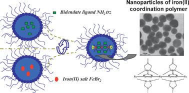 Graphical abstract: Nanoparticles of iron(ii) spin-crossover