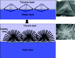 Graphical abstract: Deposition of hierarchical Cd(OH)2 anisotropic nanostructures at the water–toluene interface and their use as sacrificial templates for CdO or CdS nanostructures