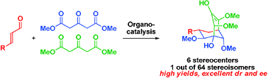 Graphical abstract: Controlling the formation of 1 out of 64 stereoisomers using organocatalysis