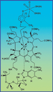Graphical abstract: Vanadium–vitamin B12 bioconjugates as potential therapeutics for treating diabetes