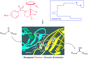 Graphical abstract: Chemogenetic protein engineering: an efficient tool for the optimization of artificial metalloenzymes